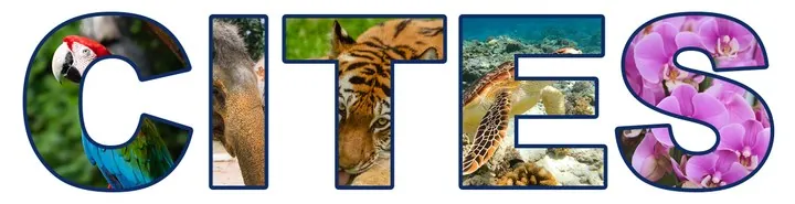 CITES 글자 그림 — 글자마다 멸종위기 동·식물 사진(금강앵무·코끼리·호랑이·바다거북·호접란)을 채운 그림